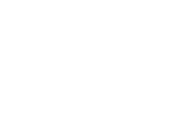 Award Logo: Gartner Visionary